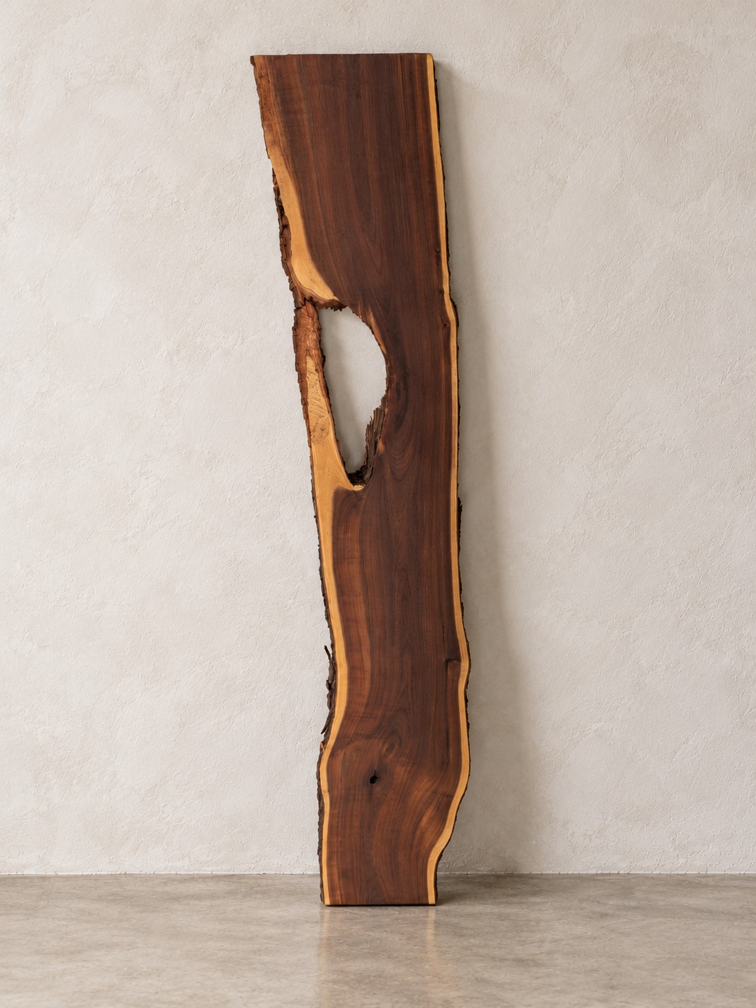 Gidgee live edge slab 00143, front, standing against a wall
