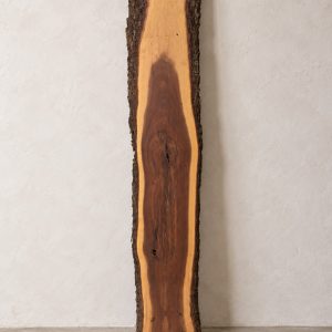 Gidgee live edge slab 00145, front, standing against a wall