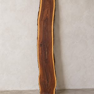 Gidgee live edge slab 00146, front, standing against a wall