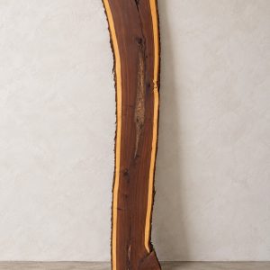 Gidgee live edge slab 00147, front, standing against a wall