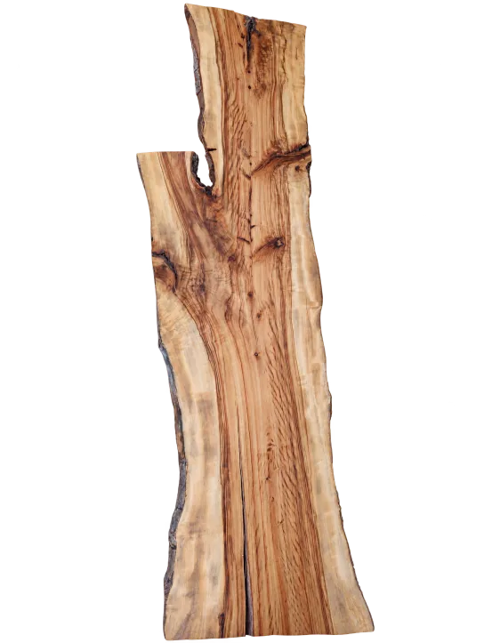 Camphor slab, showing the full outline and timber grain