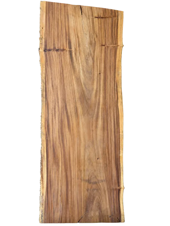 Albizia slab, showing the full outline and timber grain