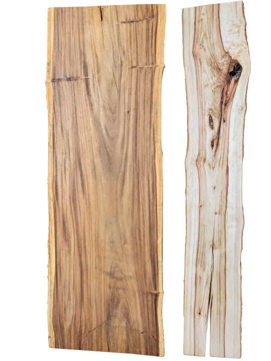 Albizia and camphor slabs, showing the full outline and timber grain