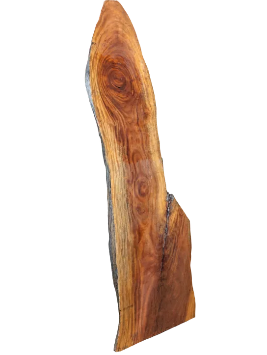 Congo mahogany slab, showing the full outline and timber grain