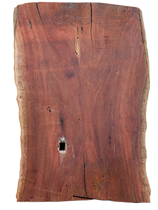 Blue gum slab, showing the full outline and timber grain