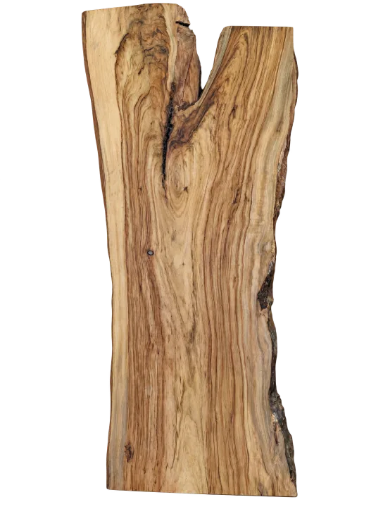 Camphor slab, showing the full outline and timber grain