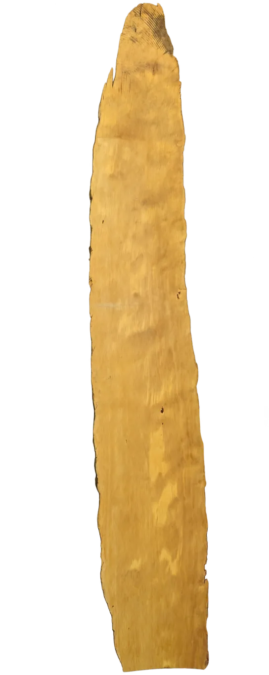 Huon pine slab, showing the full outline and timber grain