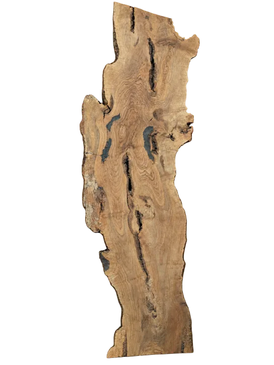 English oak slab, showing the full outline and timber grain